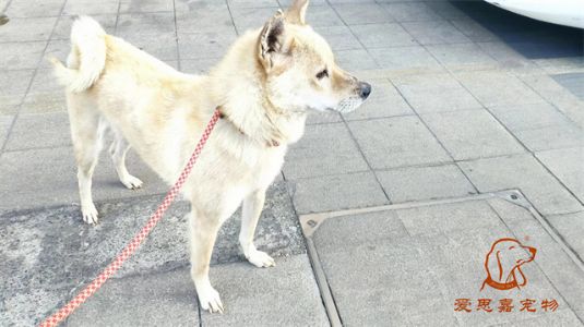 2023.1.1号旗舰店照片！