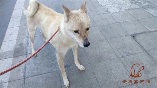 2023.1.2号旗舰店照片！