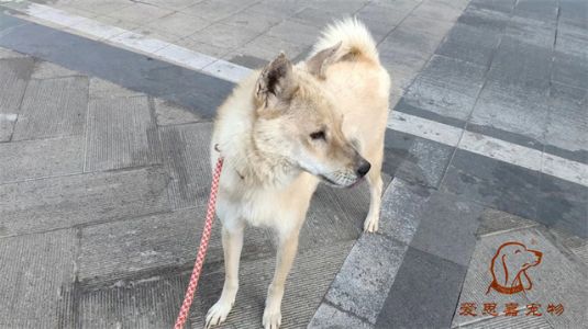 2023.1.3号旗舰店照片！