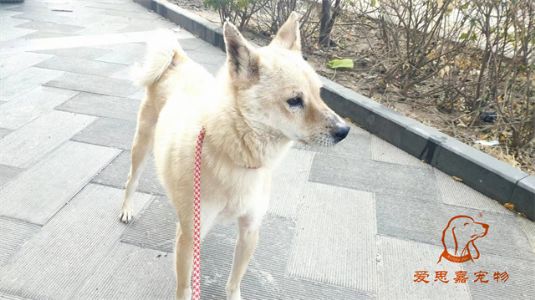 2023.1.4号旗舰店照片！