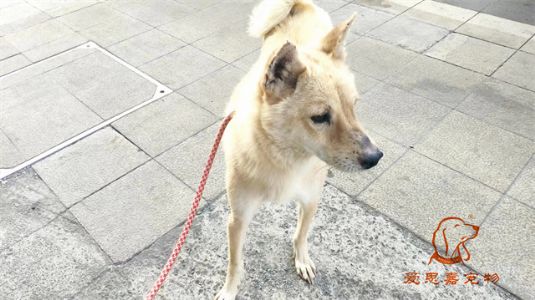 2023.1.5号旗舰店照片！