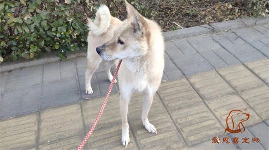 2023.1.6号旗舰店照片！