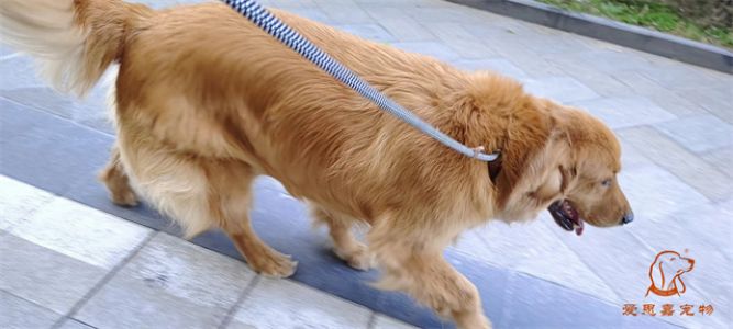 2023.10.1号旗舰店照片！