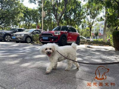 2023.10.9号旗舰店照片！