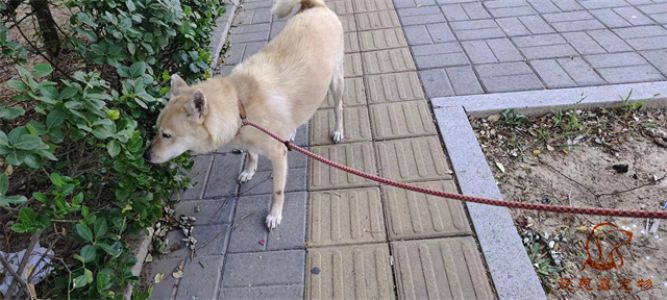 2023.10.14号旗舰店照片！