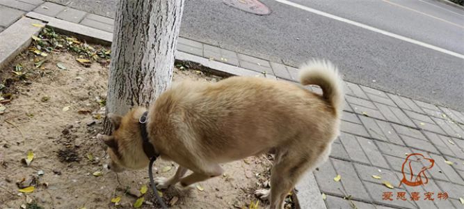 2023.10.29号旗舰店照片！