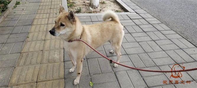 2023.11.15号旗舰店照片！