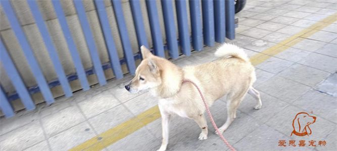 2023.11.29号旗舰店照片！