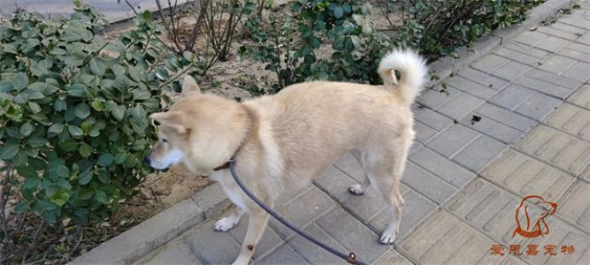 2023.12.8号旗舰店照片！
