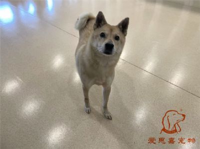 2023.12.18号旗舰店照片！