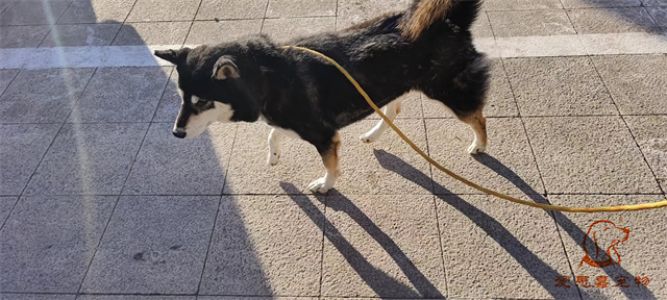 2023.12.22号旗舰店照片！