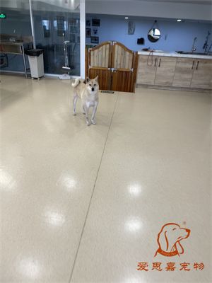 2023.12.27号旗舰店照片！