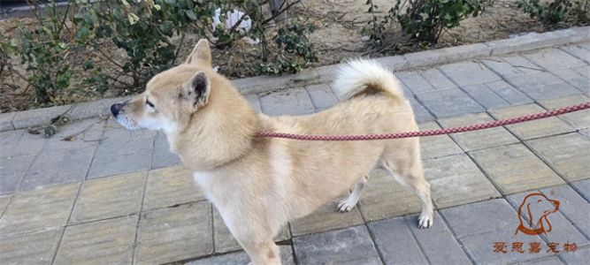 2023.12.28号旗舰店照片！