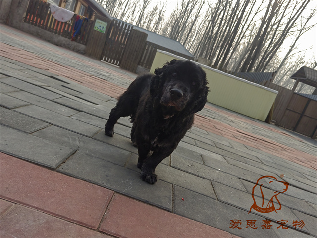 阿木 (2).jpg