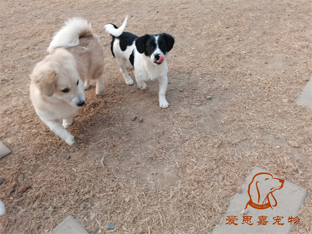 来福一家 (6).jpg