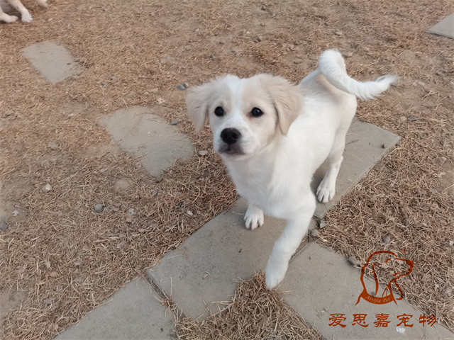 来福一家 (7).jpg