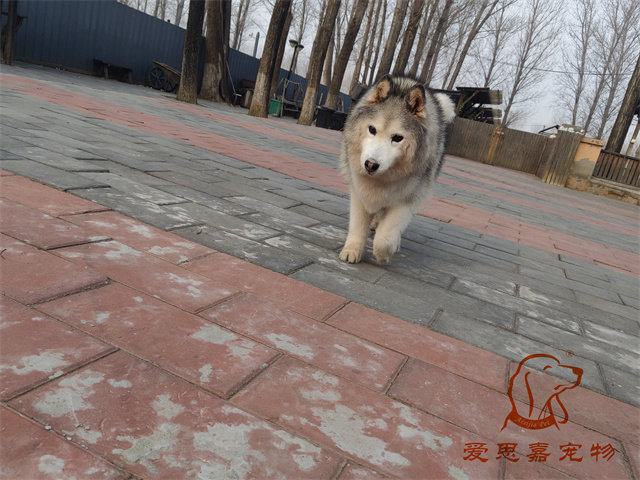王晓琪 (1).jpg