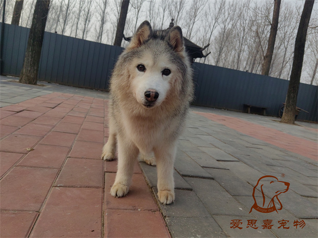 王晓琪 (2).jpg