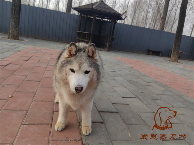 王晓琪 (3).jpg
