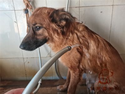 蛋蛋洗澡照片！