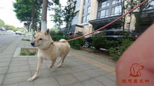 2023.5.9号旗舰店照片！