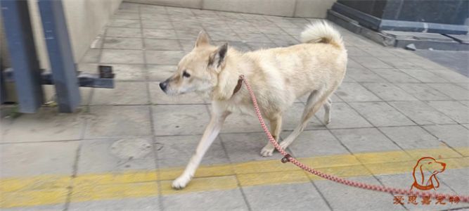 2023.5.10旗舰店照片！