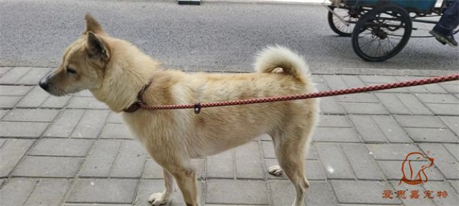 2023.5.11号旗舰店照片！