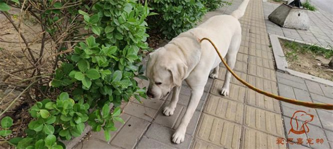 2023.5.12旗舰店照片！