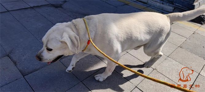 2023.5.13号旗舰店照片！