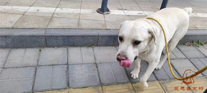 2023.5.14号旗舰店照片！