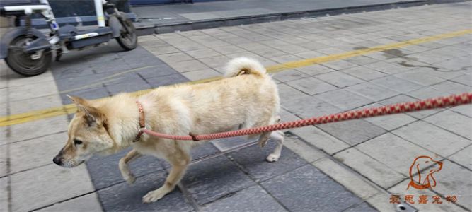 2023.5.15号旗舰店照片！