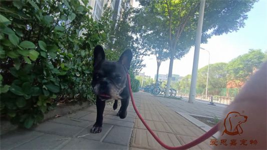 2023.5.23号旗舰店照片！