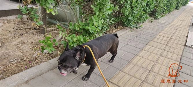 2023.5.25号旗舰店照片！