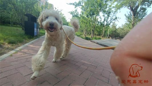 2023.5.28号旗舰店照片！