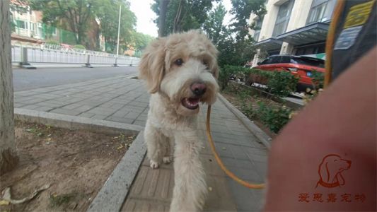 2023.5.29号旗舰店照片！