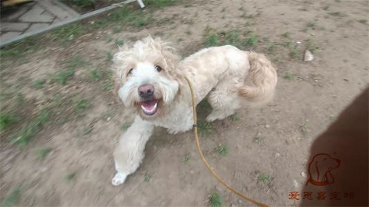 2023.5.30号旗舰店照片！