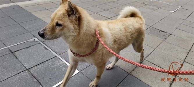 2023.5.31号旗舰店照片！