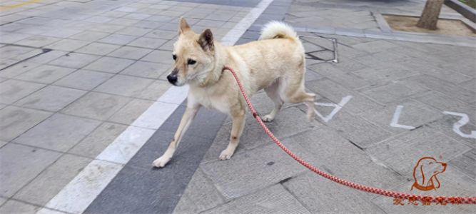 2023.6.1号旗舰店照片！