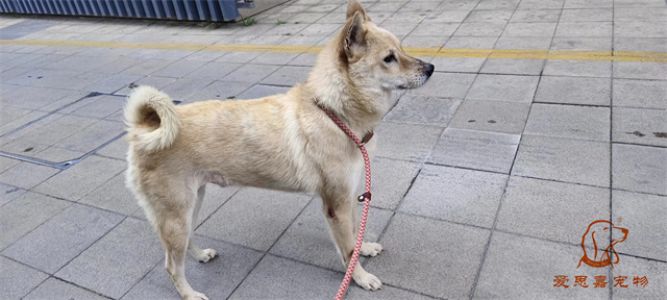 2023.6.2号旗舰店照片！