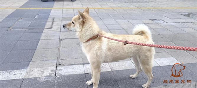 2023.6.3号旗舰店照片！