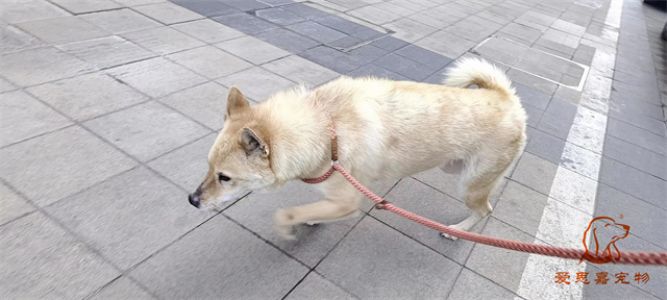 2023.6.4号旗舰店照片！