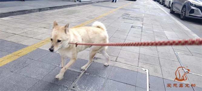 2023.6.5号旗舰店照片！