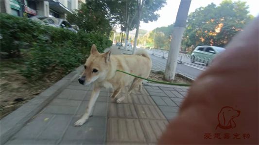 2023.6.6号旗舰店照片！