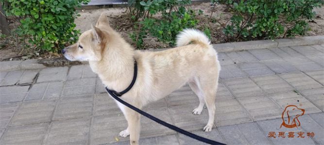 2023.6.7号旗舰店照片！