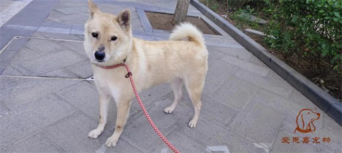 2023.6.10号旗舰店照片！