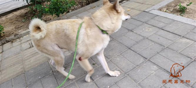 2023.6.11号旗舰店照片！