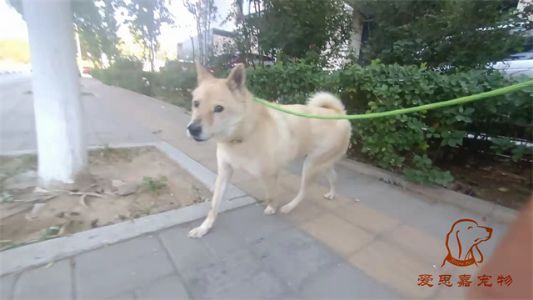 2023.6.13号旗舰店照片！