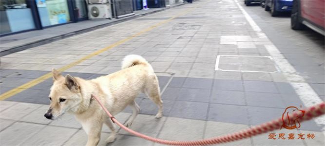 2023.6.14号旗舰店照片！