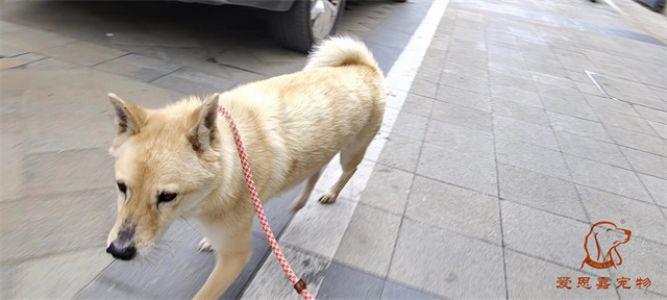 2023.6.18号旗舰店照片！