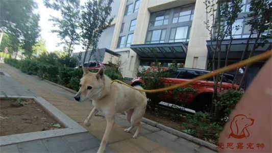 2023.6.20号旗舰店照片！
